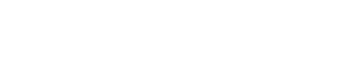 logo aylan convoyage